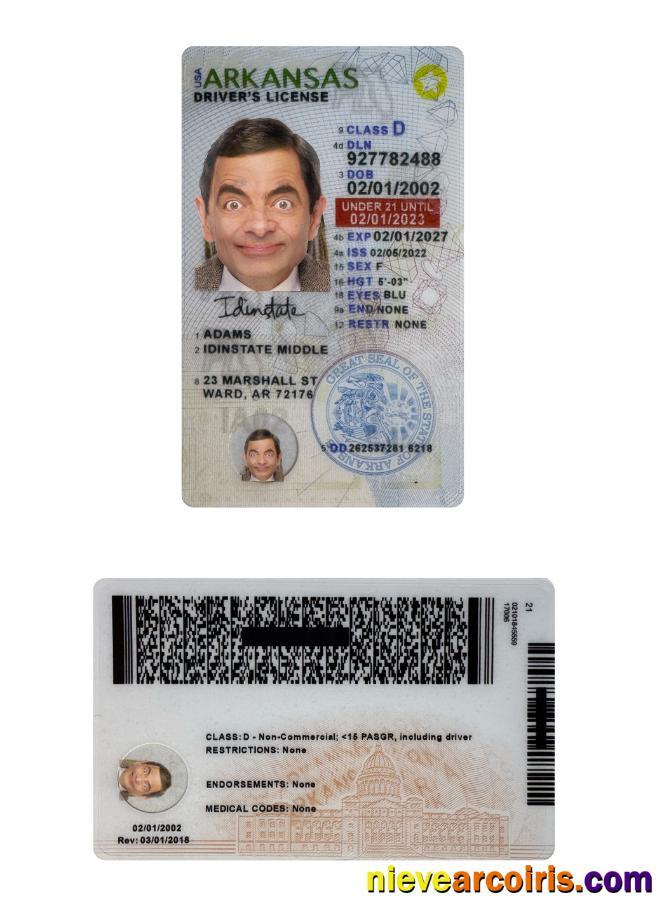 USA Arkansas driving license